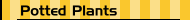 Potted Plants